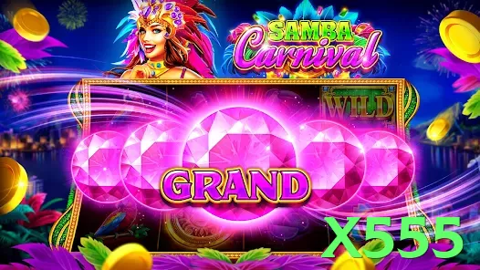 x555 interface sample - 3